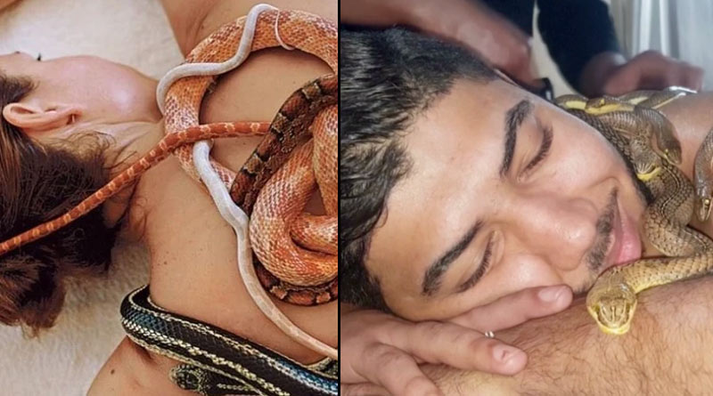 Snake spa is trending fashion now, know about it keeping fear aside| Sangbad Pratidin