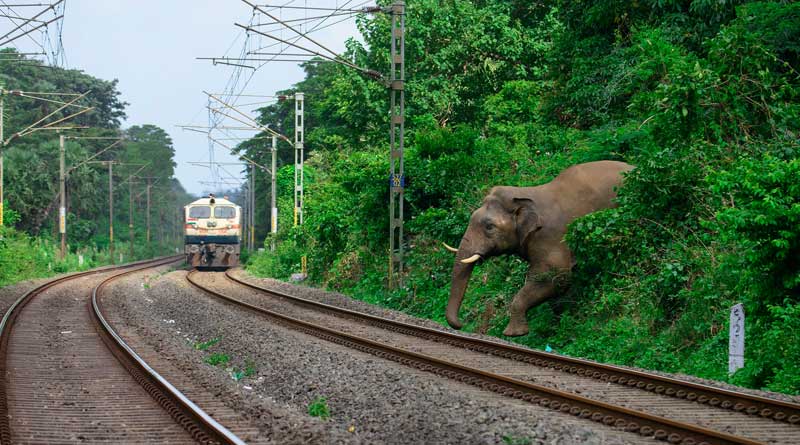 Railways offer new tour package into the wilderness of northeastern India | Sangbad Pratidin