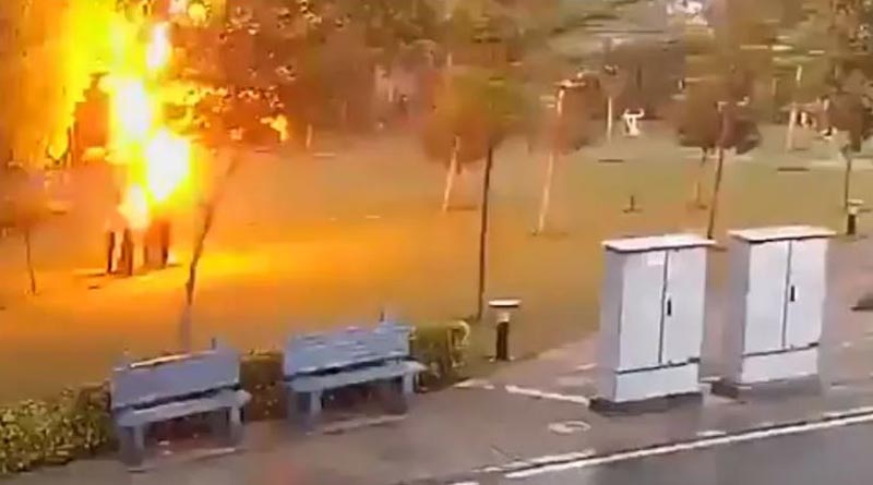 Struck by lightning, 4 men in Gurugram live to tell their tale, video goes viral | Sangbad Pratidin