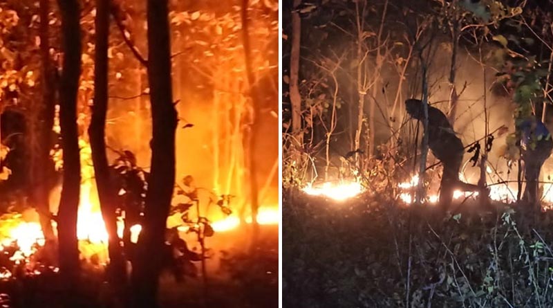 Forest fire in Purulia: the situation is worsening due to dry weather |Sangbad Pratidin