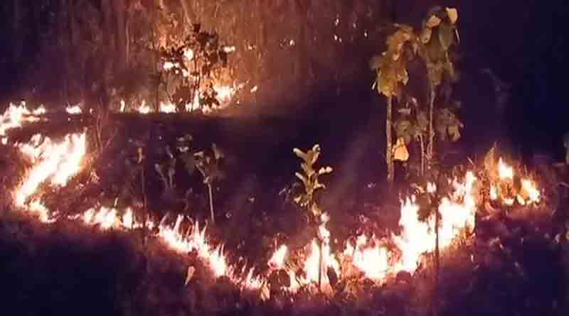Forest Fires Continue to Rage in Similipal biosphere reserve | Sangbad Pratidin