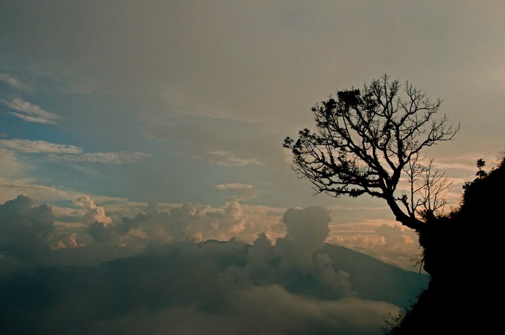 Turuk Tour: A perfect destination for offbeat travel lovers