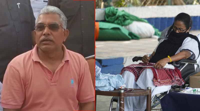 WB Assembly Polls 2021: BJP state president Dilip Ghosh slams Mamata Banerjee over painting | Sangbad Pratidin