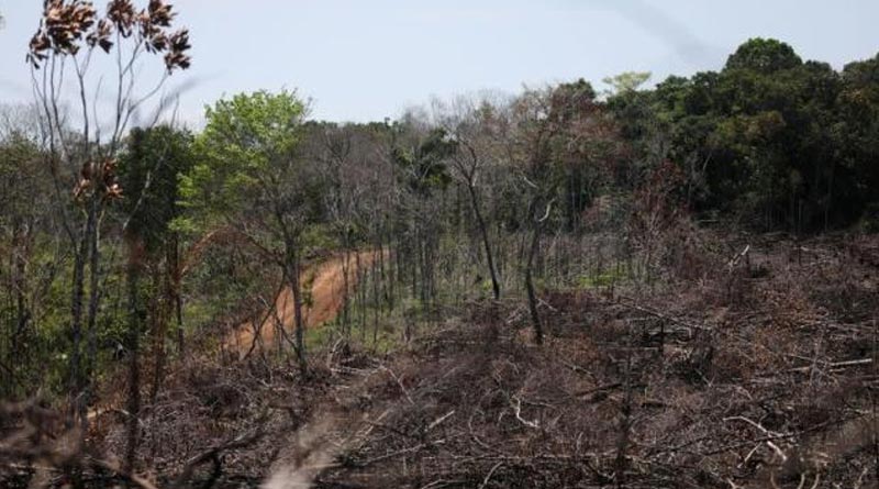 Scientists find only 3 percent of lands unblemished by human | Sangbad Pratidin