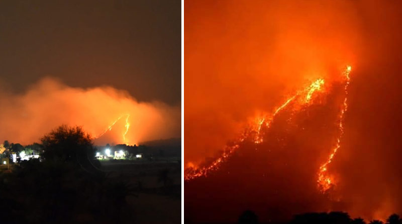 Forest fire in Purulia's hill area, fire workers cannot put it out due to environment | Sangbad Pratidin
