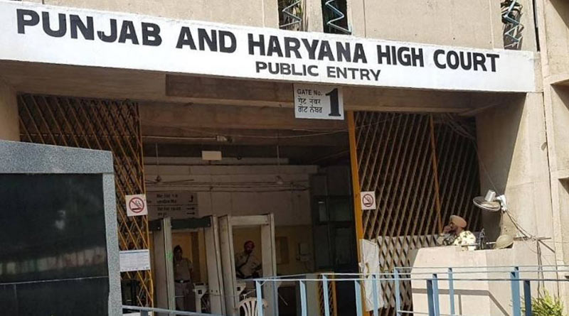 Live-in relationship morally, socially not acceptable, says Punjab And Haryana High Court | Sangbad Pratidin