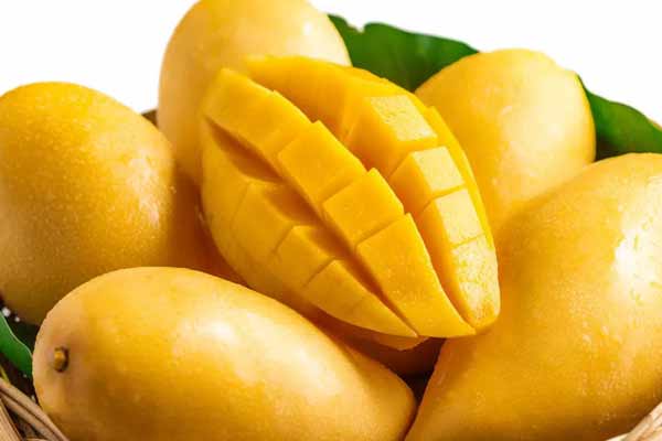 Mango