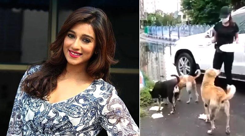 Sayantika Banerjee gave food to stray dogs across Kolkata | Sangbad Pratidin