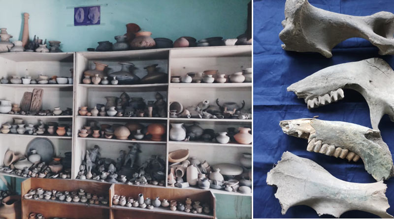 Archeological meterials found and reserved carefully at research centres at Sunderban | Sangbad Pratidin
