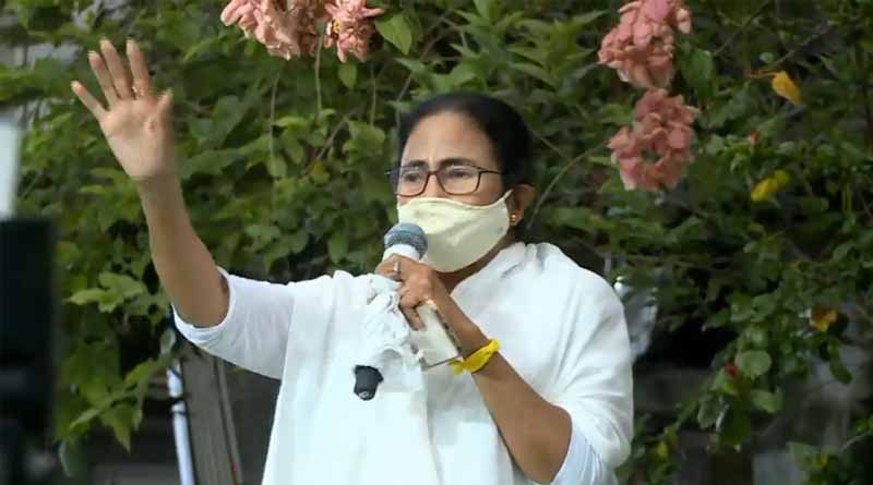 TMC makes new slogan to support Mamata Banerjee in by-election at Bhawanipore | Sangbad Pratidin
