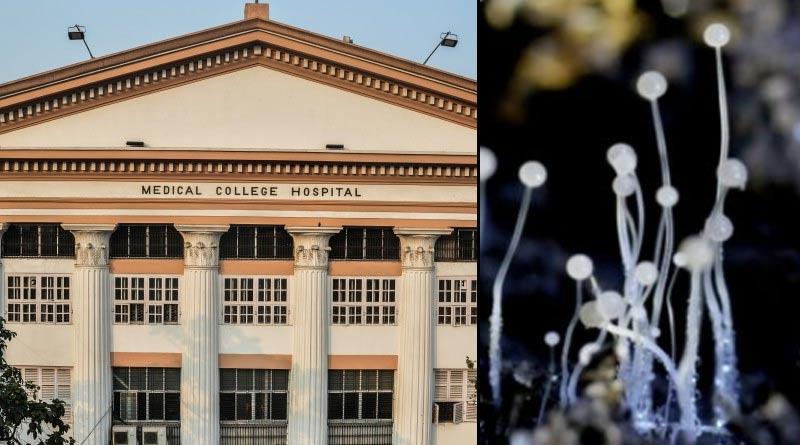 A woman who was diagnosed with black fungus died in Medical College, kolkata | Sangbad Pratidin