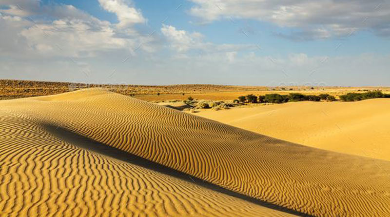 5 year old Rajasthan girl dies of thirst while walking on desert | Sangbad Pratidin