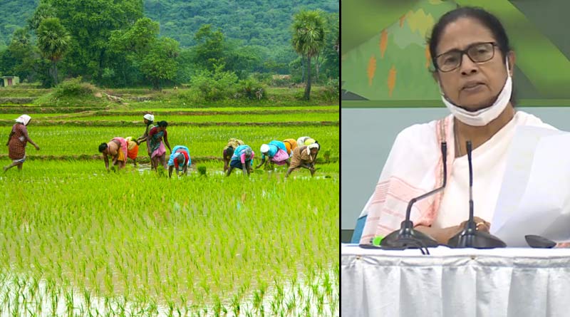 West Bengal government allots Krishak Bandhu fund for 91 lakh farmers | Sangbad Pratidin