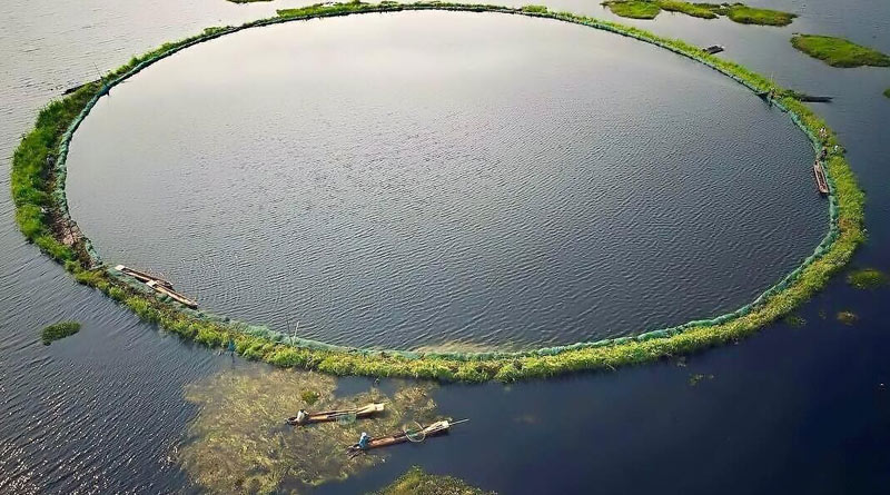 Loktak Lake Phumdis