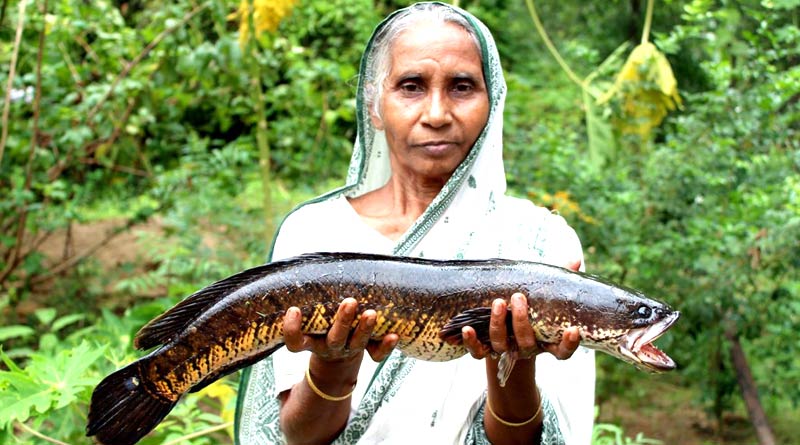 Birbhum 'Grandmother' Pushparani Sarkar is big star in Youtube with great earning