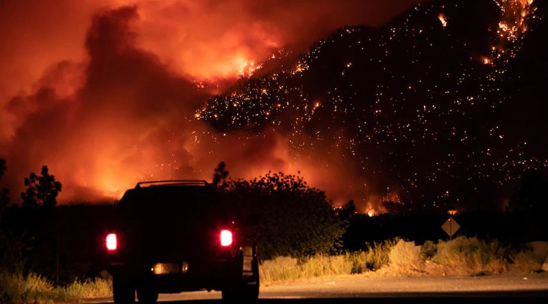 Canada battles forest fires and heat waves at least 500 people died | Sangbad Pratidin