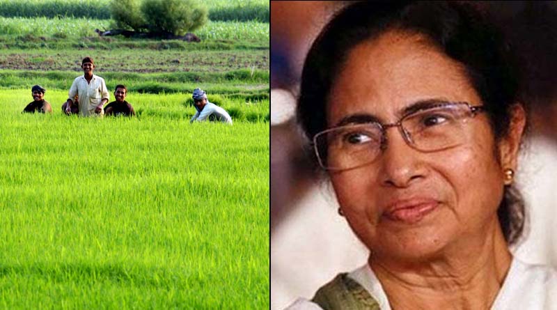 Farm Laws: TMC supremo Mamata Banerjee congratulates farmers who faught to repeal three new farm laws by centre | Sangbad Pratidin