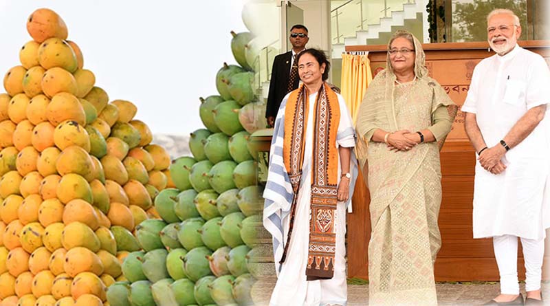 Bangladesh PM Sheikh Hasina sends special mangoes and other fruits for PM Narendra Modi and CM Mamata Banerjee | Sangbad Pratidin