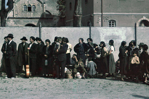 Roma holocaust