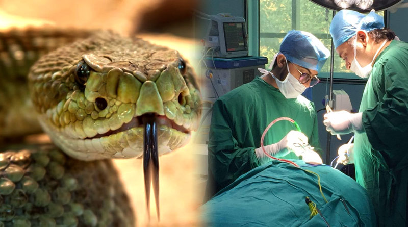 Lansed Snake venom can make surgery more safer for patients on blood thinners | Sangbad Pratidin