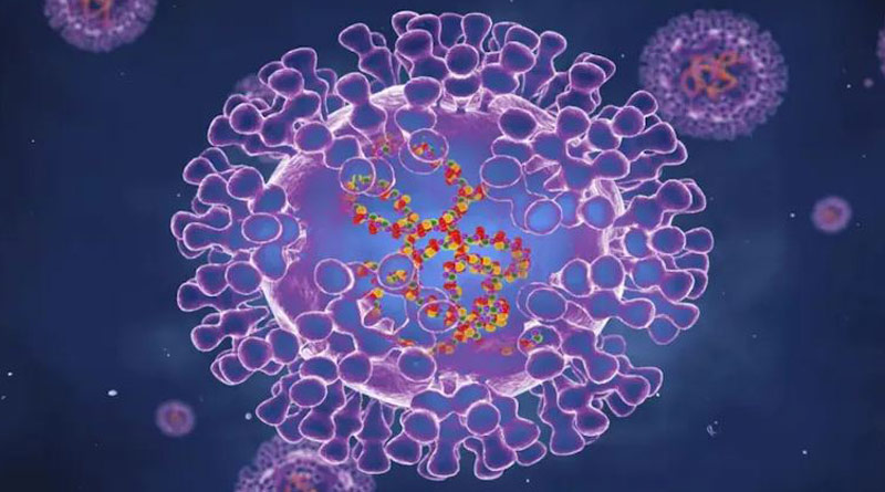 First time in nearly 20 years, US reports monkeypox case in Texas resident