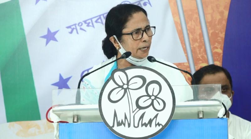 Here is what Mamata Banerjee said on TMCP foundation day | Sangbad Pratidin