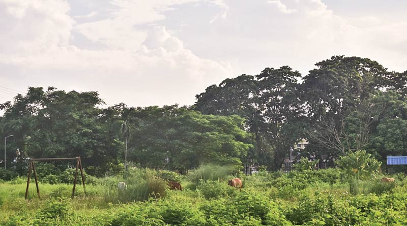 SAI campus in Jalpaiguri faces negligence, State govt blames Centre