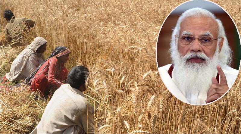 MSP hike: Centre hikes wheat support price by 2% for this crop year | Sangbad Pratidin