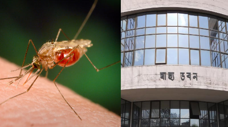 Swasthya Bhaban takes necessary steps to curb Dengue, Malaria in Kolkata and outskirts | Sangbad Pratidin