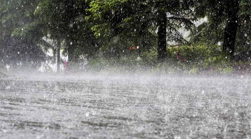 Weather Update: Heavy rain with storm may lashes Kolkata and south Bengal in this week | Sangbad Pratidin