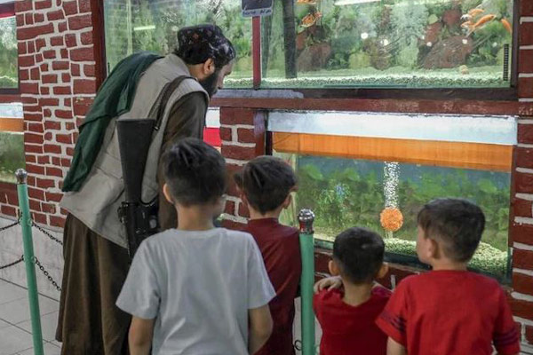 Taliban