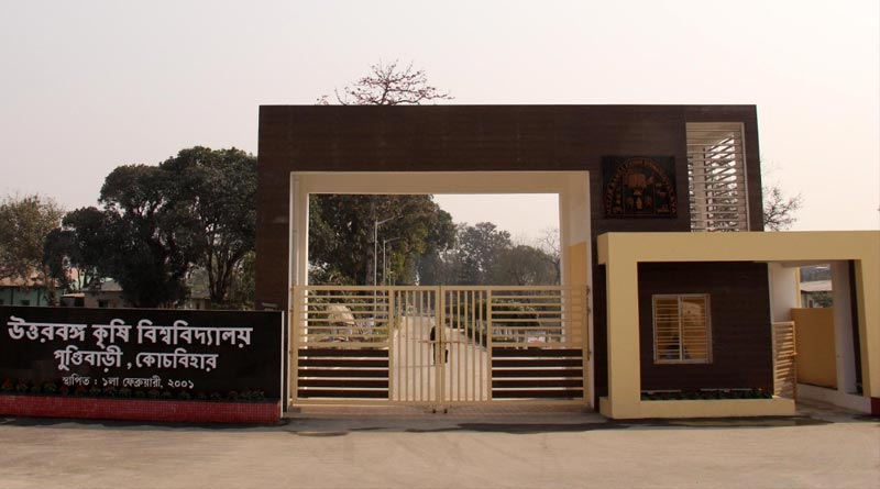 Various jobs in Uttar Banga Krishi Viswavidyalaya । Sangbad Pratidin