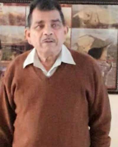 An elderly man dies after being attacked by bees 