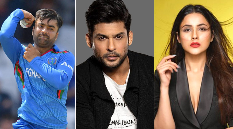 Here is how Afghan cricketer Rashid Khan reacted on Shehnaaz Gill's tribute video for Sidharth Shukla | Sangbad Pratidin