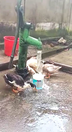 Bardhaman tube-well 