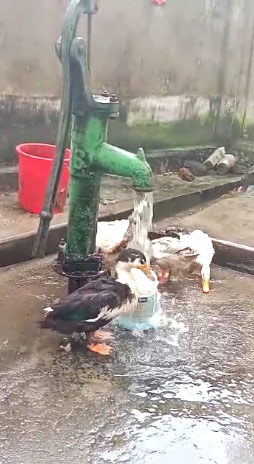 Tube well of Bardhaman 