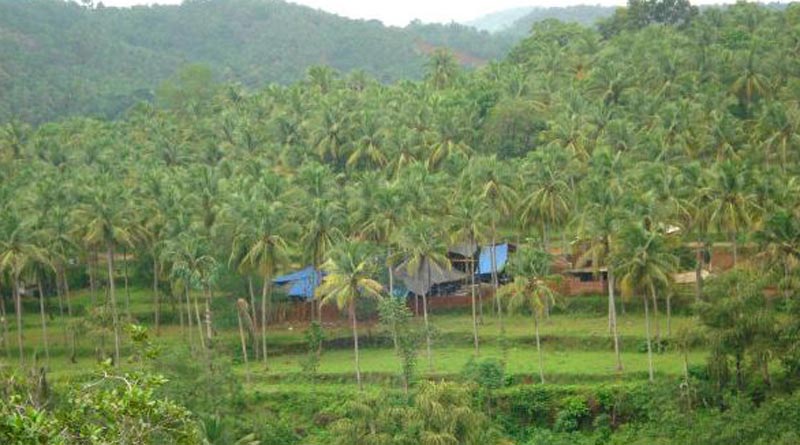 Kodinhi