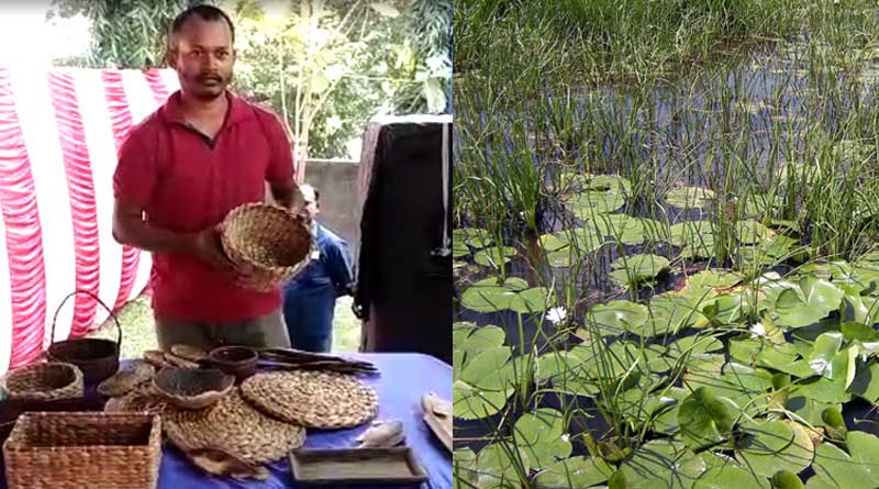A Youth of Purbasthali made things for decorate home by Water hyacinth| Sangbad Pratidin