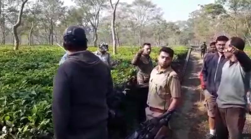 Bear sparks panic in Jalpaiguri Tea Estate | Sangbad Pratidin