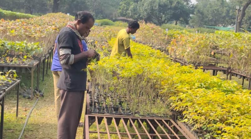 West Bengal to rope in Japanese Tech to preserve rare plant species | Sangbad Pratidin