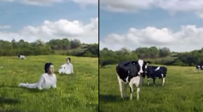 South Korea's biggest dairy company has apologised for depicting women as cows in an advertisement । Sangbad Pratidin