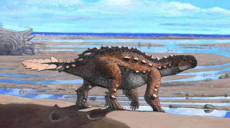 Fossils found in Chile are from strange dog-sized dinosaur species। Sangbad Pratidin