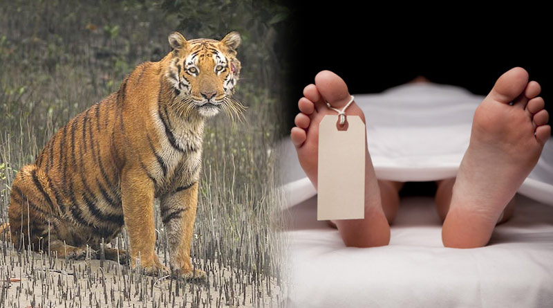 Fisher man died at hospital after Royal Bengal Tiger attack | Sangbad Pratidin