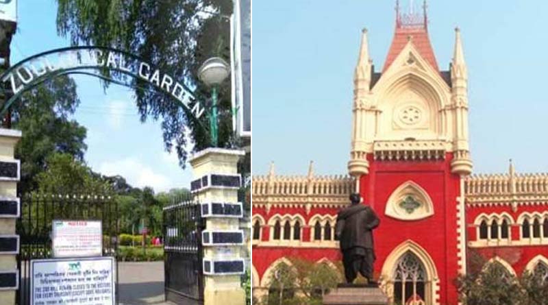 Calcutta HC seeks affidavit from New Alipur Zoo authority of the incident of TMC-BJP clash to capture the trade union