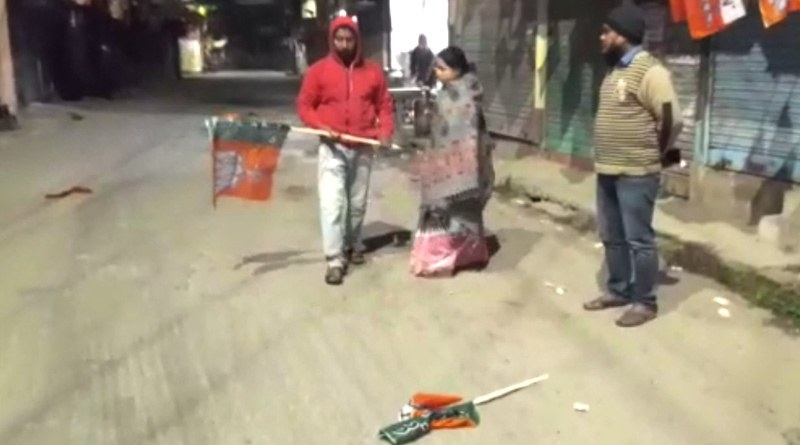 BJP Flag 1