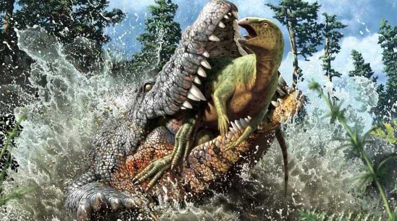 Remains of a massive Crocodile Discovered which has Dinosaur in its Stomach। Sangbad Pratidin