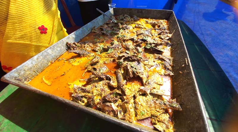 Fish 2