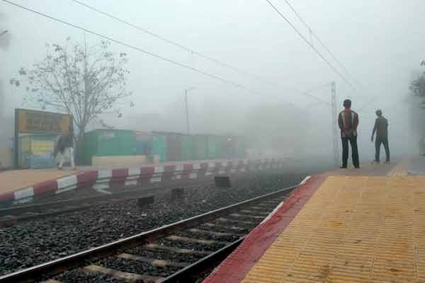 Fog
