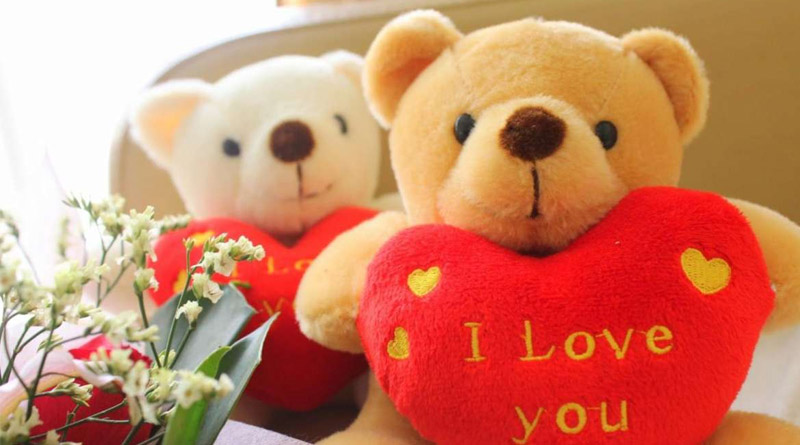 How to celebrate teddy day with your partner | Sangbad Pratidin