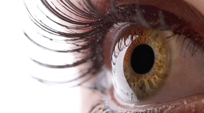 Eye